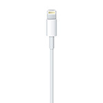 Câble USB Apple Câble Lightning vers USB - 1 m - Autre vue