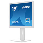 Écran PC Iiyama ProLite B1980D-W5 - Autre vue
