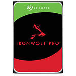 Seagate IronWolf Pro - 6 To - 256 Mo