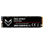 Disque SSD Fox Spirit PM70 PRO - 960 Go - Autre vue