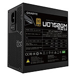 Alimentation PC Gigabyte UD750GM PG5 - Gold  - Autre vue