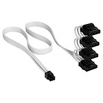 Câble d'alimentation Corsair Premium Câble d'alimentation Molex 4 connecteurs type 5 Gen 5 - Blanc - Autre vue