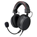 Casque micro Fox Spirit DH0 - Autre vue