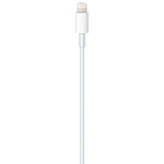 Adaptateurs et câbles Apple Câble USB-C vers Lightning (2024) - 1 m - Autre vue