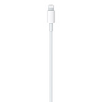 Adaptateurs et câbles Apple Câble USB-C vers Lightning - 2 m - Autre vue