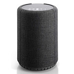 Enceinte sans fil Audio Pro G10 Gris Foncé - Enceinte connectée  - Autre vue