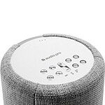 Enceinte sans fil Audio Pro G10 Gris Clair - Enceinte connectée  - Autre vue