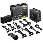 Alimentation PC MSI MAG A1000GL PCIE5 - Autre vue