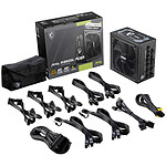 Alimentation PC MSI MAG A1250GL PCIE5 - Autre vue