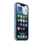 Coque et housse Apple Coque en silicone Bleu d'hiver - iPhone 16e - Autre vue