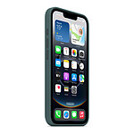 Coque et housse Apple Coque en silicone Vert lacustre - iPhone 16e - Autre vue