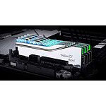 Mémoire G.Skill Trident Z5 Royal Argent - 2 x 16 Go (32 Go) - DDR5 8000 MHz - CL38 - Autre vue