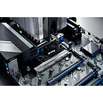 Disque SSD Kingston FURY Renegade G5 - 8 To  - Autre vue