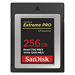 Carte mémoire SanDisk Extreme Pro CFexpress Type B 256 Go - Autre vue