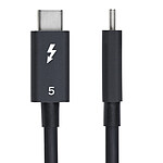 Câble USB StarTech.com Câble Thunderbolt 5 (80 Gb/s) USB-C - M/M - 0.5 m - Noir - Autre vue