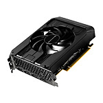 Carte graphique Gainward GeForce RTX 5050 Pegasus - Autre vue