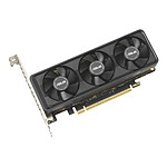 Carte graphique Asus PRIME GeForce RTX 5060 LP BRK  8GB GDDR7 OC Edition - Autre vue