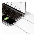 Câble USB StarTech.com Câble USB-C vers USB-C 2.0 - 2 m - Blanc - Autre vue