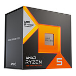 Processeur AMD Ryzen 5 7500X3D (4.0 GHz) - Autre vue