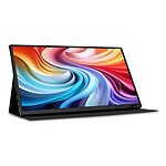 Écran PC Acer PM161QTbmiuuux - Autre vue