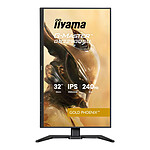 Écran PC iiyama G-Master GB3290QSU-B1 Gold Phoenix - Autre vue