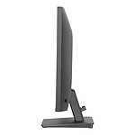 Écran PC iiyama ProLite X2493HSU-B1 - Autre vue