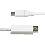 Câble DisplayPort StarTech.com Câble USB-C vers DisplayPort 1.2 (M/M) - 2 m - Autre vue