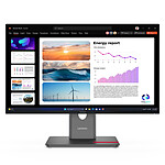 Écran PC Lenovo  ThinkVision P24Q-40 - Autre vue