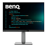 Écran PC BenQ  RD280UG - Autre vue