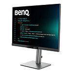 Écran PC BenQ  RD280UG - Autre vue