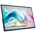 Écran PC MSI  PRO MP165 E6 - Autre vue