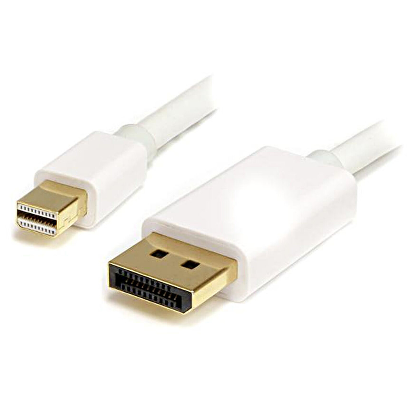 Câble DisplayPort StarTech.com Câble mini DisplayPort / DisplayPort Blanc - 1 m - Autre vue