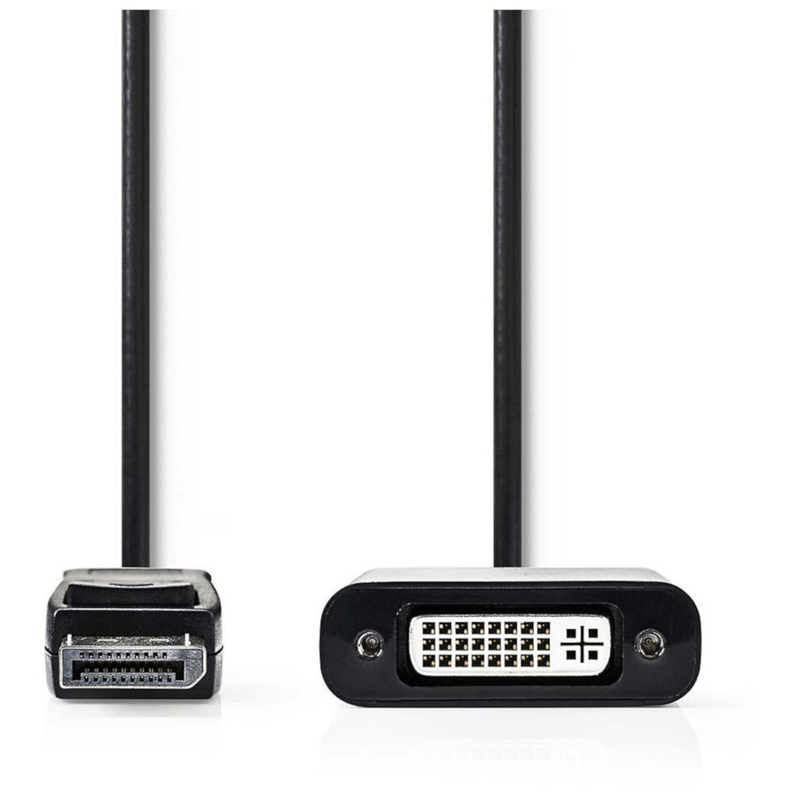 Adaptateur DisplayPort Câble DisplayPort vers DVI-D femelle - 20 cm - Autre vue