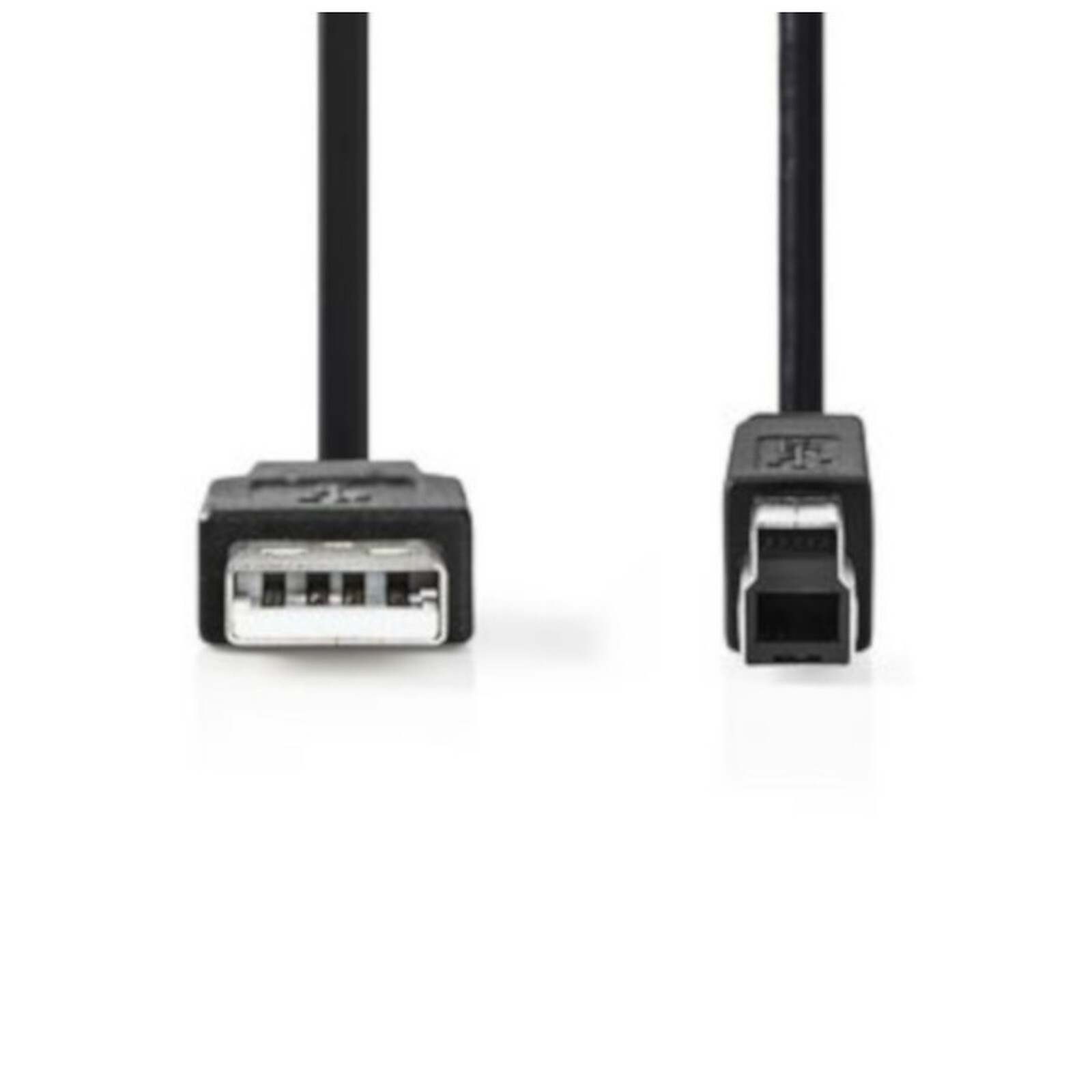 Câble USB Nedis Câble USB 2.0 A/B - 5 m - Autre vue