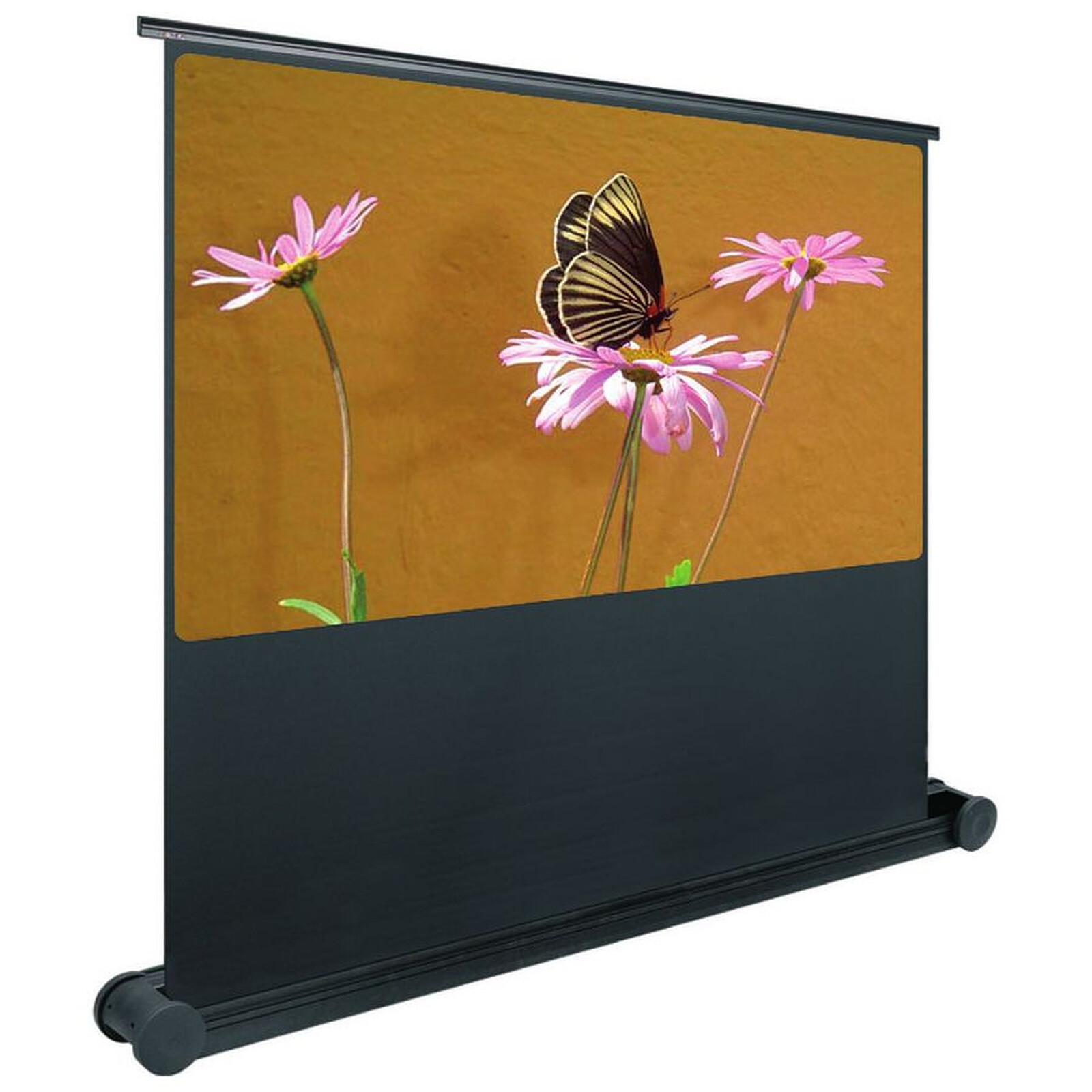 Ecran de projection Oray Butterfly 16/9 240 x 135 - Autre vue