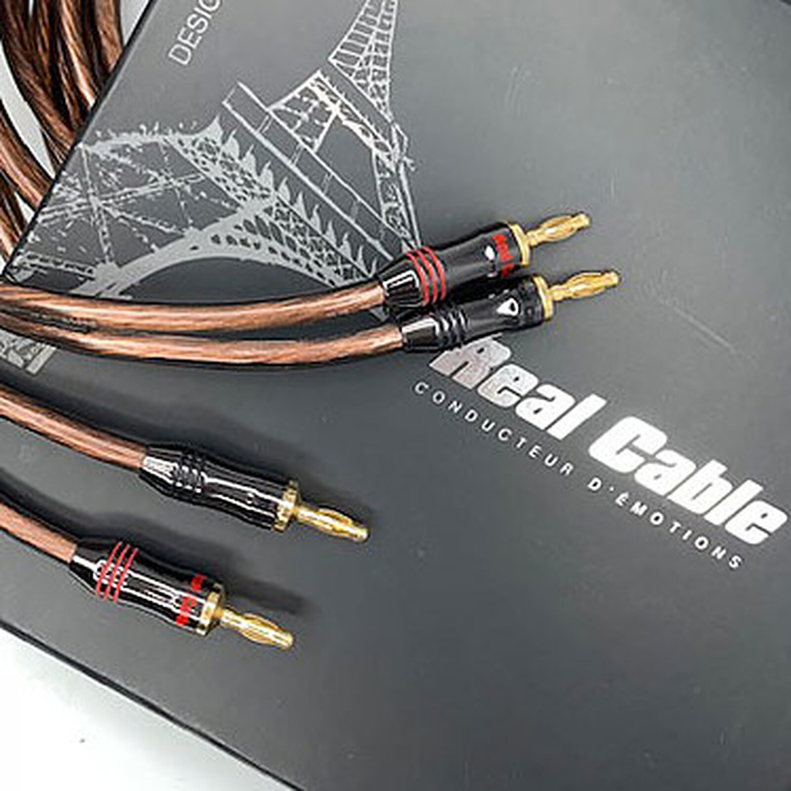 Câble d'enceintes Real Cable Elite 300 - 2 x 5m - Autre vue