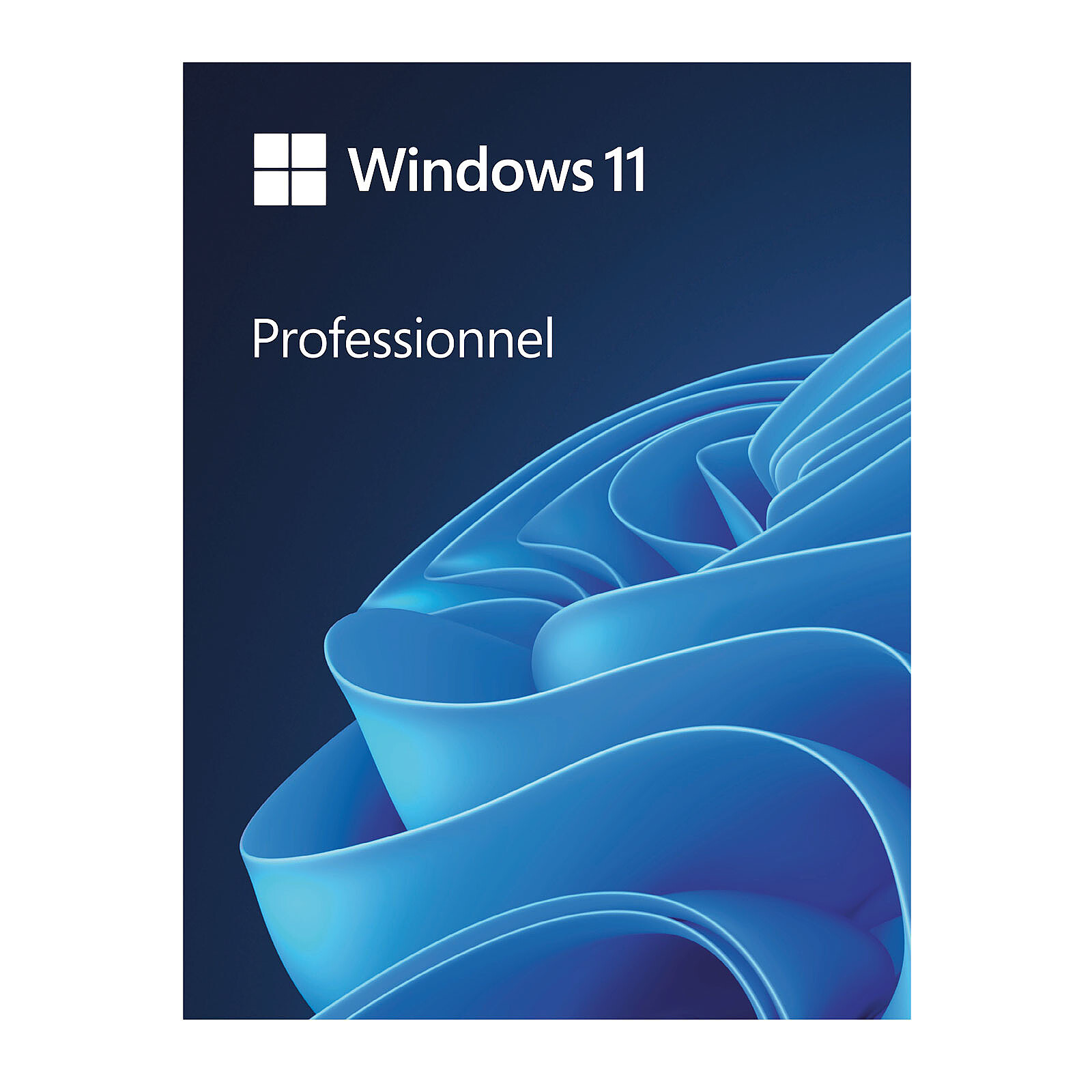 Windows Microsoft Windows 11 Professionnel 64 bits (clé USB) - Autre vue
