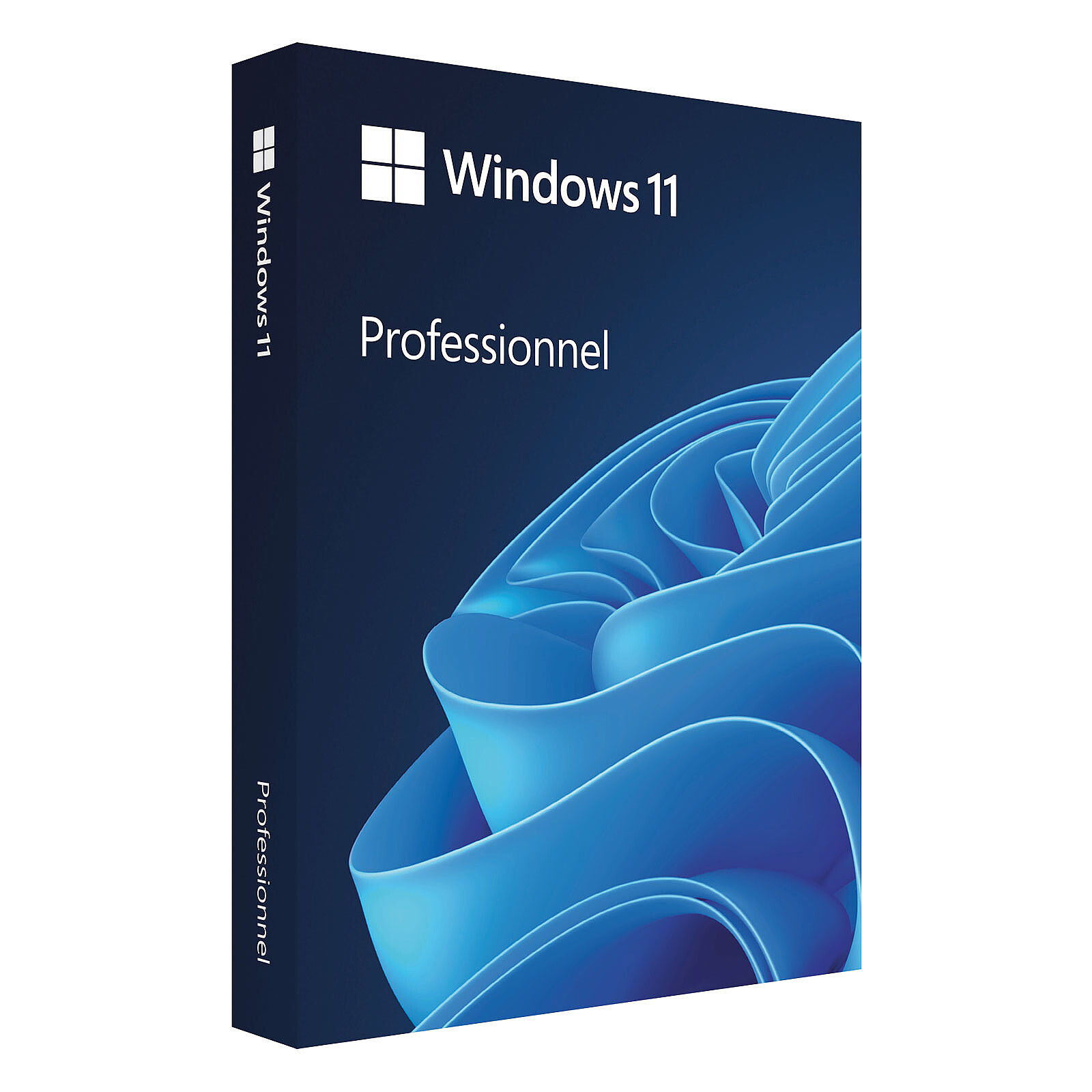 Windows Microsoft Windows 11 Professionnel 64 bits (oem - DVD) - Autre vue