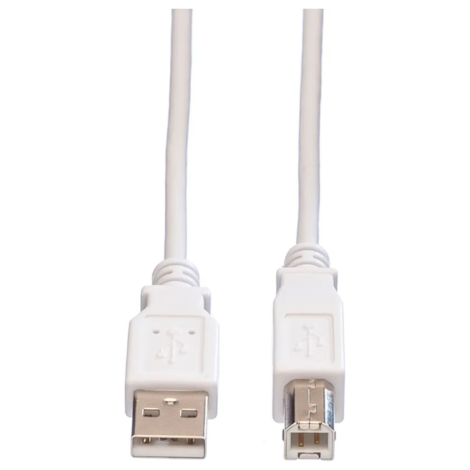 Câble USB Câble USB 2.0 Type A vers Type B - 5 m - Autre vue