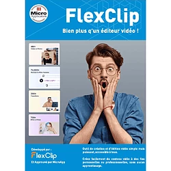 FlexClip