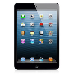 Apple iPad Mini - Wi-Fi - 16Go (Gris sidéral) - Reconditionné