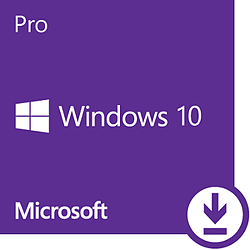 Microsoft Windows 10 PRO 64 bits (oem)