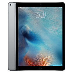Apple iPad Pro 12,9 - Wi-Fi - 256 Go - Space Gray - Reconditionné