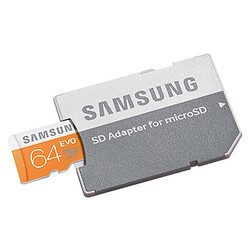 Samsung Evo SDXC 64 Go (48Mo/s) + adaptateur SD