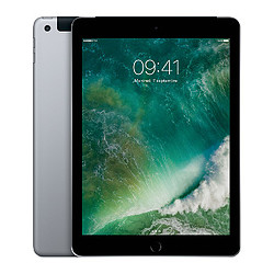 Apple iPad Wi-Fi + Cellular - 32 Go - Gris sidéral - Reconditionné