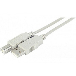  Câble imprimante USB 2.0 (A/B) Gris - 5m