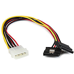 StarTech.com Câble d'alim 2 SATA / Molex - 30 cm