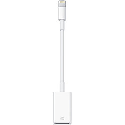 Apple Adaptateur Lightning vers USB