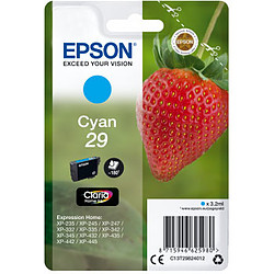 Epson Cyan 29