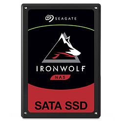 Seagate IronWolf 110 - 480 Go